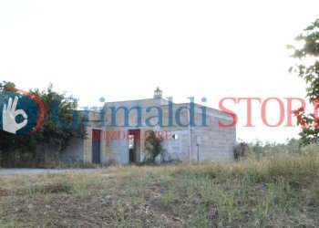 AGIM (6).jpg - Rustico Contrada Signorella, Cutrofiano - foto 22