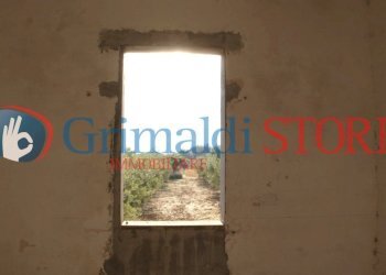 AGIM (7).jpg - Rustico Contrada Signorella, Cutrofiano - foto 23