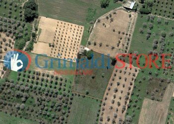 AGIM (4).jpg - Rustico Contrada Signorella, Cutrofiano - foto 24