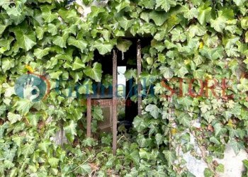 WhatsApp Image 2022-05-24 at 18.18.04 (1).jpeg - Casa indipendente Contrada Santoro Ostuni  1, Ostuni - foto 15