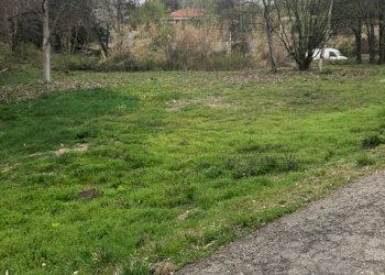 Agricultural land via Vignassa, 10, Pino Torinese - photo 2