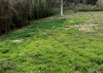 Agricultural land via Vignassa, 10, Pino Torinese - photo 3