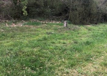 Agricultural land via Vignassa, 10, Pino Torinese - photo 4