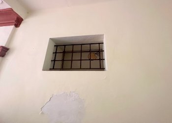 Shop Imola - photo 13