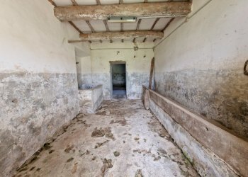 20230702_111239.jpg - Casale LOCALITA' SELVE, Amelia - photo 4