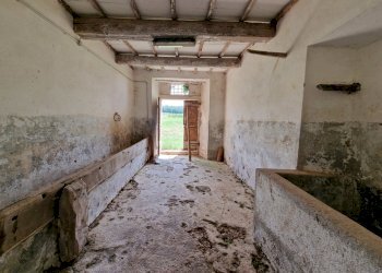 20230702_111310.jpg - Casale LOCALITA' SELVE, Amelia - photo 8