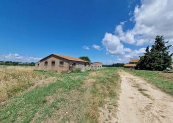 20230702_110954.jpg - Casale LOCALITA' SELVE, Amelia - photo 10