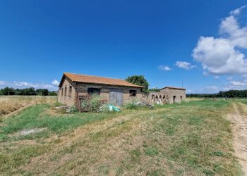 20230702_111004.jpg - Casale LOCALITA' SELVE, Amelia - photo 11