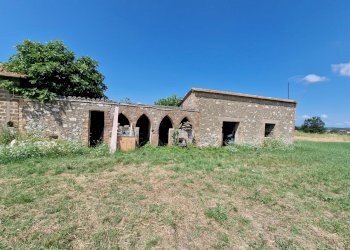 20230702_111026.jpg - Casale LOCALITA' SELVE, Amelia - photo 12