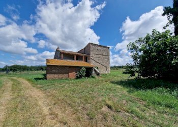 20230702_111117.jpg - Casale LOCALITA' SELVE, Amelia - photo 13