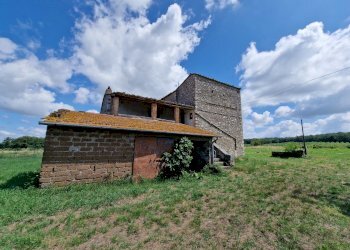 20230702_111128.jpg - Casale LOCALITA' SELVE, Amelia - photo 15