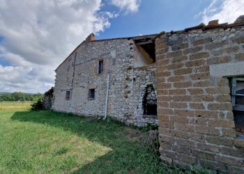 20230702_111146.jpg - Casale LOCALITA' SELVE, Amelia - photo 16