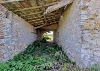 20230702_111203.jpg - Casale LOCALITA' SELVE, Amelia - photo 17