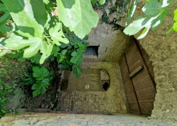 20230702_111348.jpg - Casale LOCALITA' SELVE, Amelia - photo 24