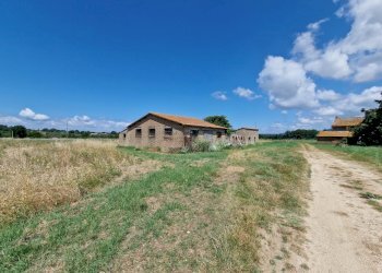 20230702_110950.jpg - Casale LOCALITA' SELVE, Amelia - photo 27