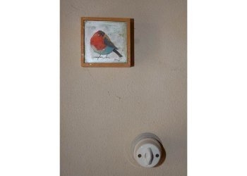 Villa San Prospero - foto 49