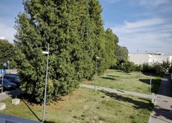 Independent house Ravenna (neighborhood Borgo Montone) - photo 24