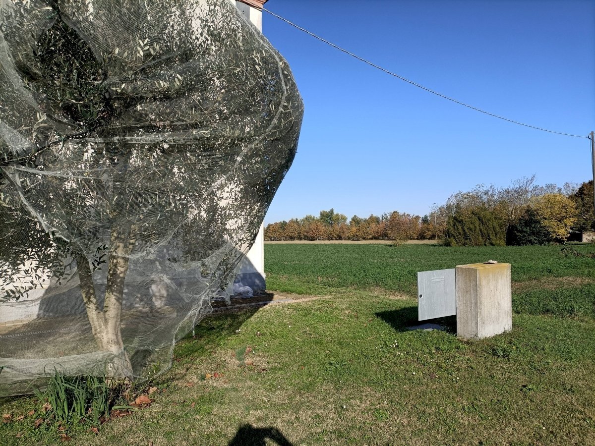 Building land Ravenna (neighborhood Ghibullo) - photo 3