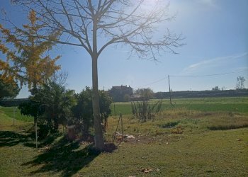 Building land Ravenna (neighborhood Ghibullo) - photo 1