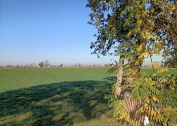Building land Ravenna (neighborhood Ghibullo) - photo 2