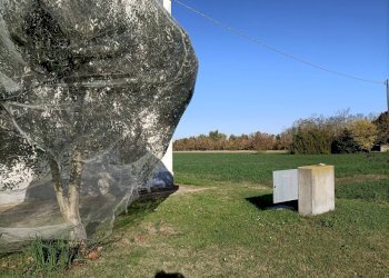 Building land Ravenna (neighborhood Ghibullo) - photo 3
