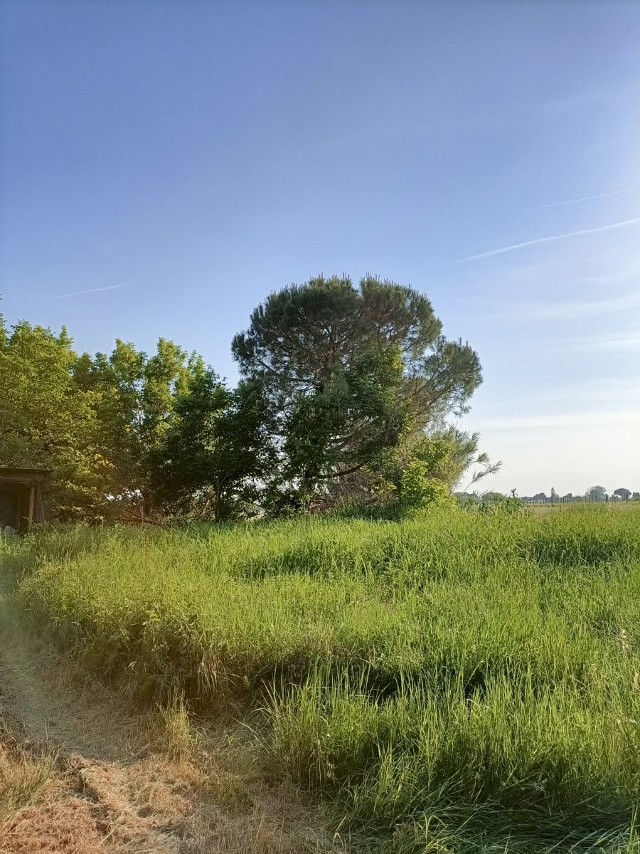 Independent house Ravenna (neighborhood Santerno) - photo 1