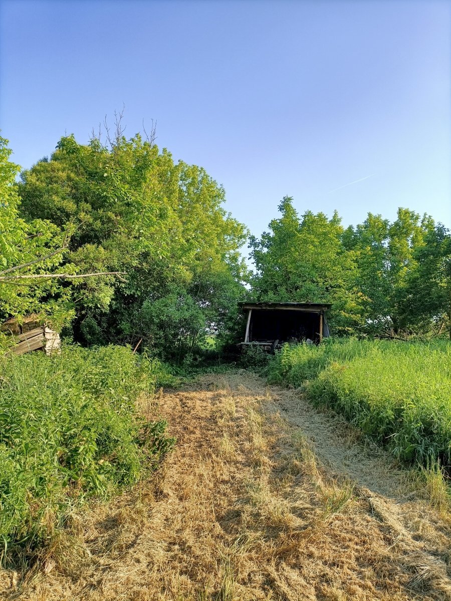 Independent house Ravenna (neighborhood Santerno) - photo 2
