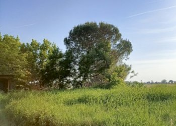 Independent house Ravenna (neighborhood Santerno) - photo 1