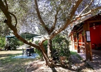 Independent house Ravenna (neighborhood Classe) - photo 6