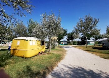 Independent house Ravenna (neighborhood Classe) - photo 33