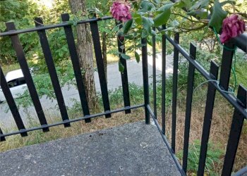 Porzione di casa Carpineti - foto 18