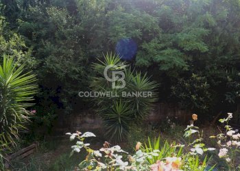 Appartamento Via Madonna del Carmine, Agropoli - foto 13