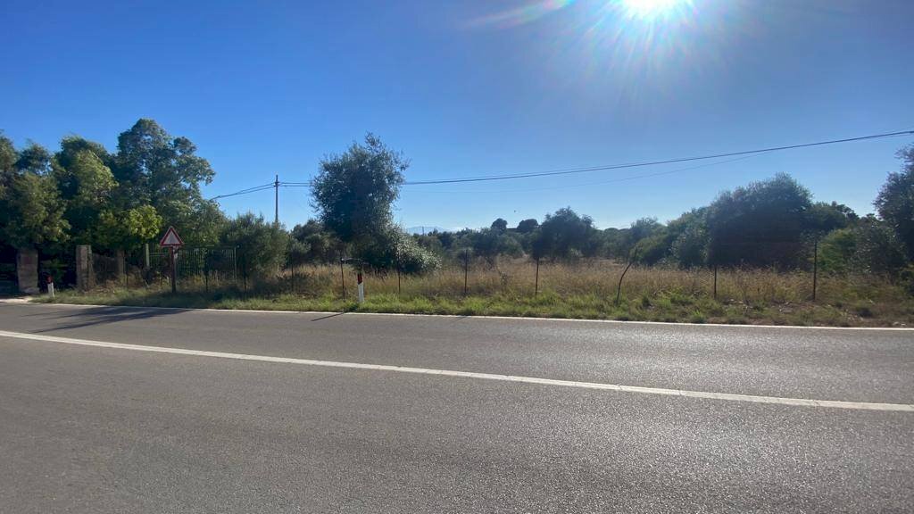 Terreno agricolo SS113, Terrasini - foto 1