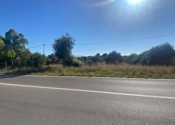 Terreno agricolo SS113, Terrasini - foto 1