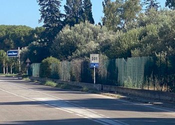 Terreno agricolo SS113, Terrasini - foto 2