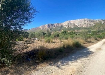 Terreno agricolo SS113, Terrasini - foto 5