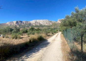 Terreno agricolo SS113, Terrasini - foto 6