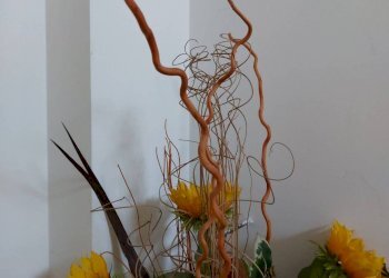 Particolari - Villa via Rocco Terenzi, Elice - foto 21