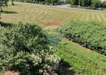 Villa a Schiera Telgate - foto 14