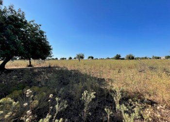 IMG_4511.jpg - Rustico Via Fosso Tantillo Pirato 77, Modica - foto 7