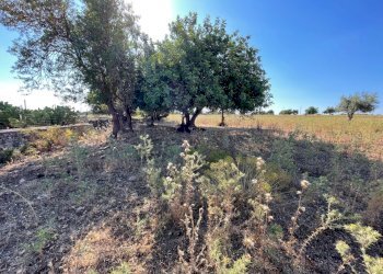 IMG_4512.jpg - Rustico Via Fosso Tantillo Pirato 77, Modica - foto 8