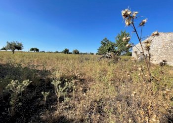 IMG_4513.jpg - Rustico Via Fosso Tantillo Pirato 77, Modica - foto 9