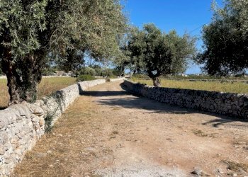 IMG_4544.jpg - Rustico Via Fosso Tantillo Pirato 77, Modica - foto 24