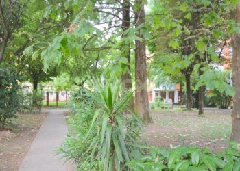 Four-room apartment Valsamoggia - photo 4