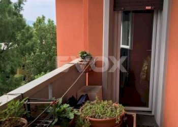 Four-room apartment Valsamoggia - photo 19