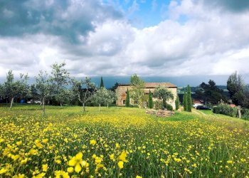 Terreno - Rustico strada Provinciale del Commercio, 129, Casciana Terme Lari - foto 2