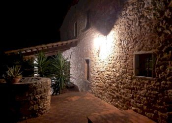 Giardino - Rustico strada Provinciale del Commercio, 129, Casciana Terme Lari - foto 13