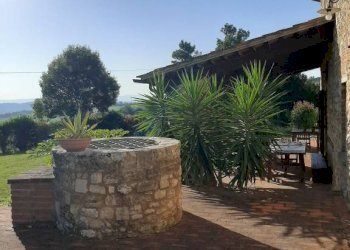 Giardino - Rustico strada Provinciale del Commercio, 129, Casciana Terme Lari - foto 18