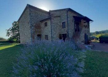 Terreno - Rustico strada Provinciale del Commercio, 129, Casciana Terme Lari - foto 20