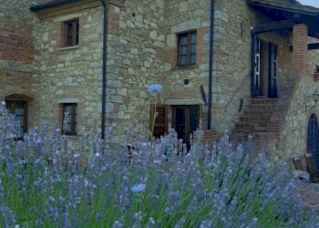 Facciata - Rustico strada Provinciale del Commercio, 129, Casciana Terme Lari - foto 28